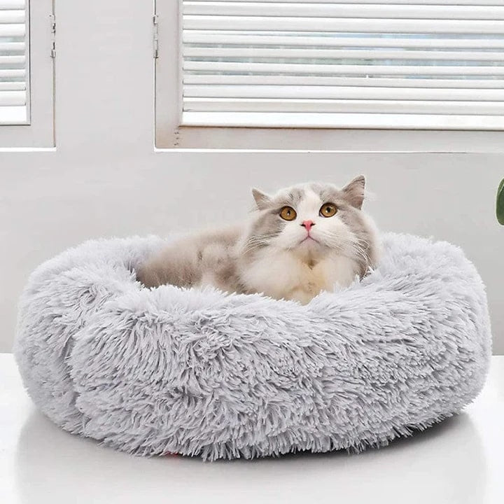 Katze in einem hellgrauen Katzenbett