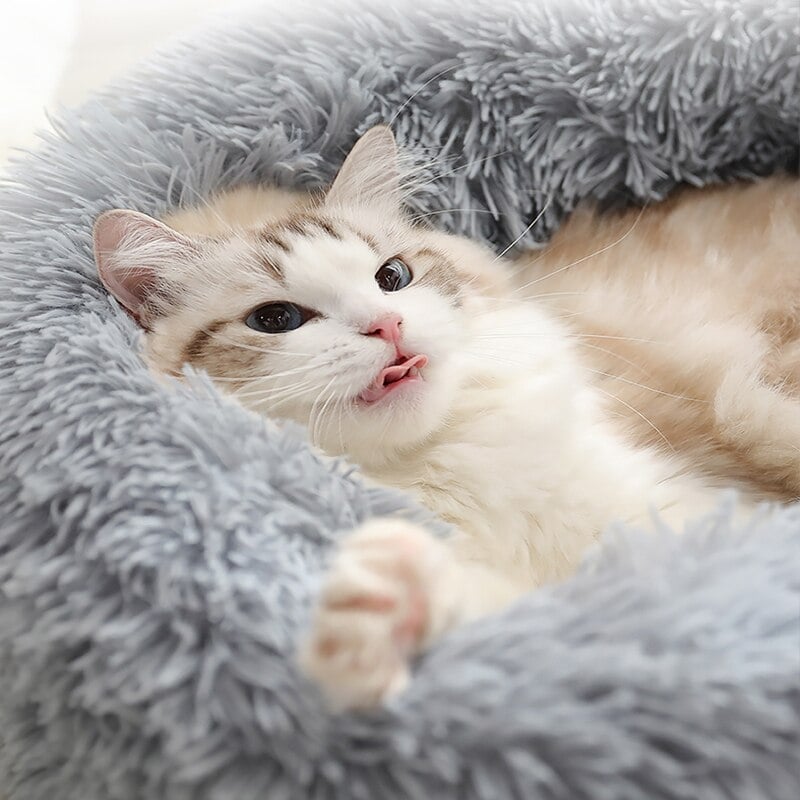 Katze liegt gemütlich in hellgrauem Katzenbett