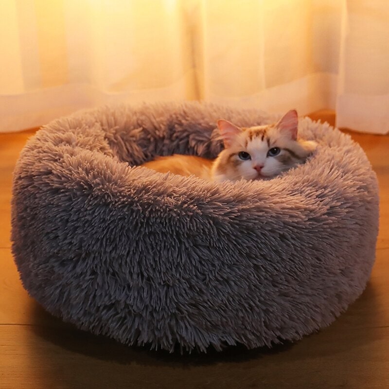 Katze liegt gemütlich in hellgrauem Katzenbett