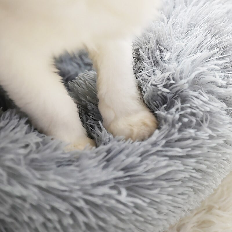 Weiße Katzenpfoten in grauem Katzenbett