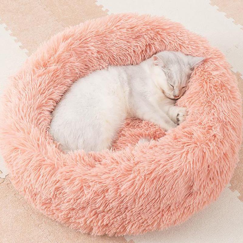 Schlafendes Kätzchen in einem rosa Katzenbett