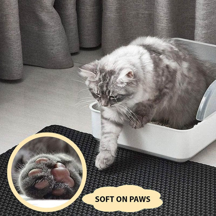 Katze setzt vorsichtig eine Pfote auf die Katzenstreumatte