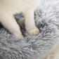 Weiße Katzenpfoten in grauem Katzenbett